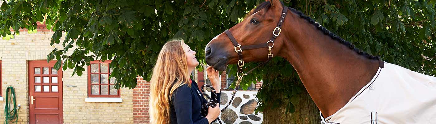 Horse accessories for you and your horse 