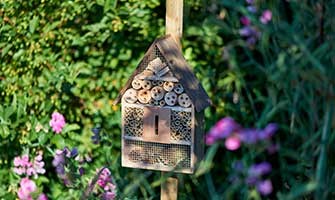 Guide: Attract Insects to Your Garden with Insect Hotels and Plants