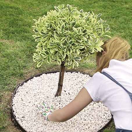 How to create a vibrant flowerbed